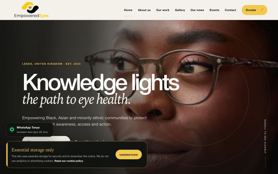 Empowered Eyes - website screenshot
